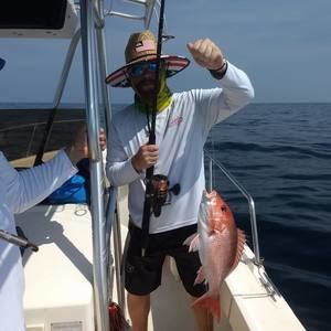 Meet your Posher, Cody